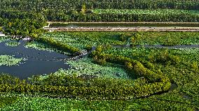 Wetland Park In Shandong Province - China