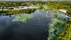 Wetland Park In Shandong Province - China