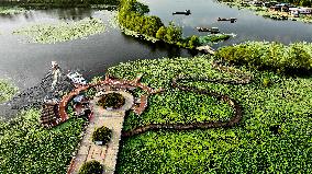 Wetland Park In Shandong Province - China