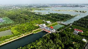 Wetland Park In Shandong Province - China