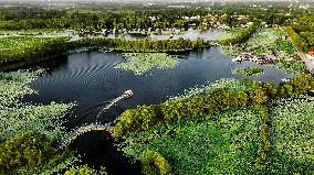 Wetland Park In Shandong Province - China