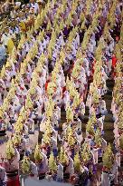 Awa dance festival in western Japan