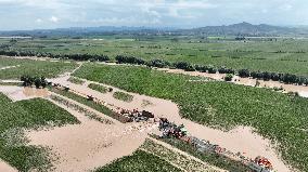 Dike Breach Repair - China