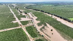 Dike Breach Repair - China