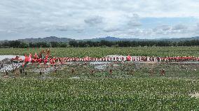 Dike Breach Repair - China