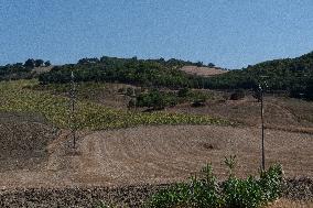 Wind Turbines In Campania