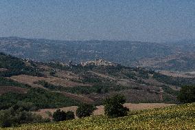 Wind Turbines In Campania