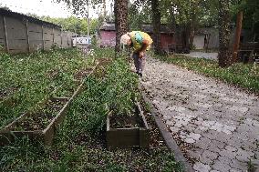 Kharkiv shelter for single elderly people left homeless due to war