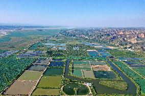 Crab Farming - China