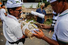 Balinese Mass Cremation