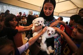 Daily Life In Gaza, Palestine Amid Hamas-Israel Conflict