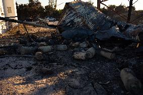 Aftermath Of The East Attica Fire