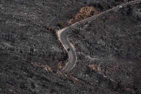 Aftermath Of The East Attica Fire