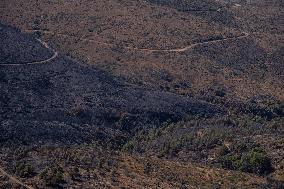 Aftermath Of The East Attica Fire