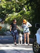 Jennifer Garner Walks Her Dog - LA