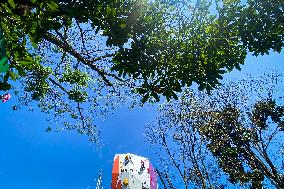 International Rock Climbing Competition Commemorates Indonesian Independence Day