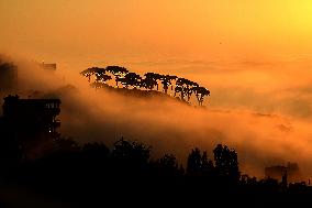 Sunset In Mount Lebanon