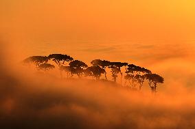 Sunset In Mount Lebanon