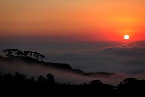 Sunset In Mount Lebanon