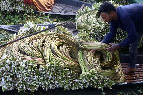 Water Lily Harvest - Bangladesh