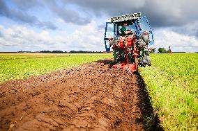 World Championship Ploughing Contest