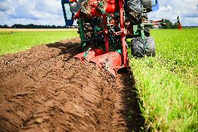 World Championship Ploughing Contest