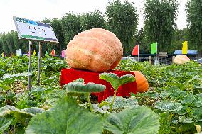 23rd Agricultural Expo in Changchun