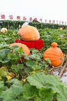 23rd Agricultural Expo in Changchun