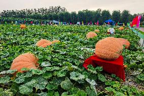 23rd Agricultural Expo in Changchun