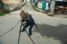 Street Monkey Mask Circus - Indonesia