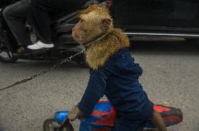 Street Monkey Mask Circus - Indonesia