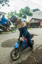 Street Monkey Mask Circus - Indonesia