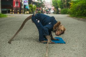 Street Monkey Mask Circus - Indonesia