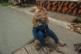 Street Monkey Mask Circus - Indonesia