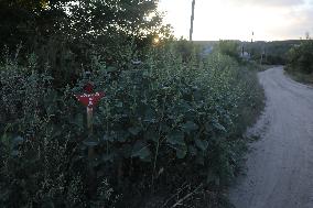 Kamianka village in Kharkiv region