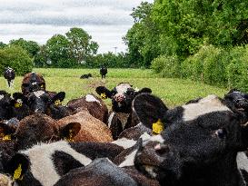 Farming In Ireland.