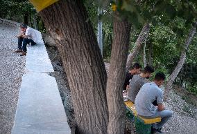 Daily Life In Tehran