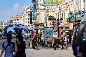 Manzhouli Tour in Hohhot