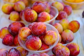 Fruit Market in Hohhot