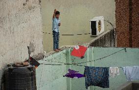 Flying Kites - New Delhi