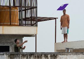 Flying Kites - New Delhi