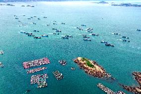 Taofu Central National Fishing Port