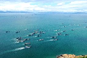 Taofu Central National Fishing Port