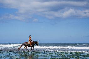 Horse Riders Perform At The Komune Beach In Bali