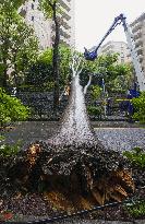 Powerful typhoon in eastern Japan