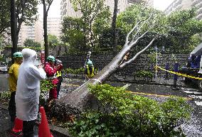 Powerful typhoon in eastern Japan