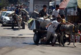 Daily Life In Gaza, Palestine Amid Hamas-Israel Conflict