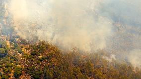 Wildfire In Izmir - Turkey