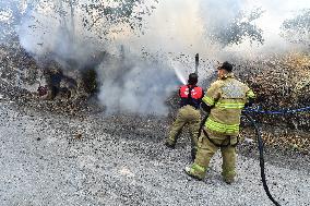 Wildfire In Izmir - Turkey