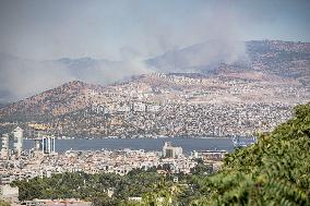 Wildfire In Izmir - Turkey